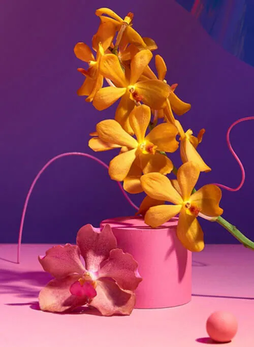 A vibrant still life with exotic flowers, used to create a rich and luxurious visual identity for a beauty or skincare brand.